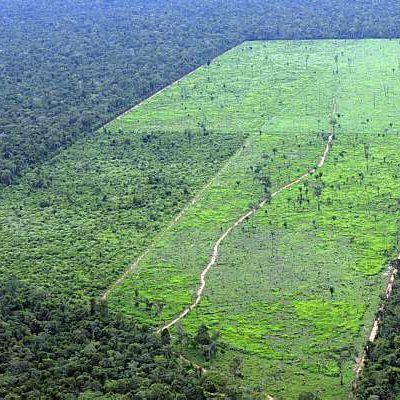Desmatamento na Floresta Amazônica volta a crescer após 4 anos