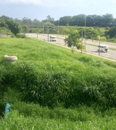 Reportagem denuncia uso indevido de terreno público em São José dos Campos