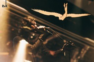 Fotos em shows - Rogério von Krüger