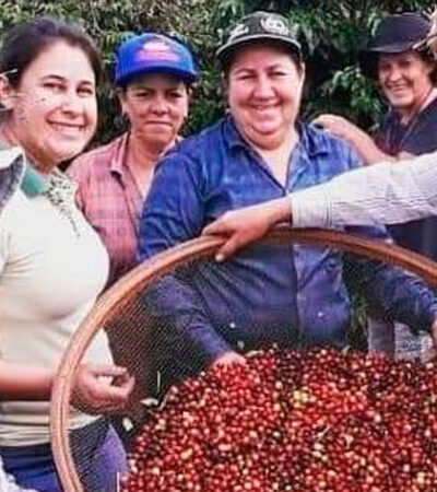 O café especial premiado mundialmente das mulheres do Paraná