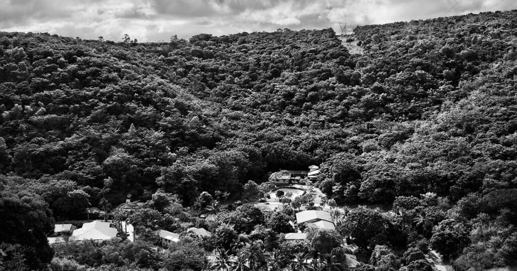 Instituto Terra e uma resposta brasileira ao futuro climático