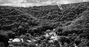 Instituto Terra e uma resposta brasileira ao futuro climático