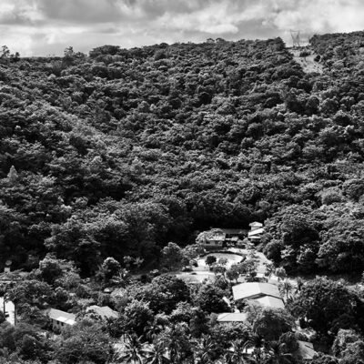 Instituto Terra e uma resposta brasileira ao futuro climático